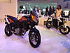 IMG_3664.jpg