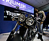 IMG_8266.jpg