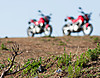 IMG_5158.jpg