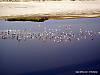 100_2628.JPG