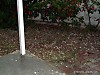 100_3829.JPG