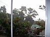 100_3832.JPG