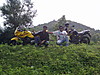 18092010134.jpg