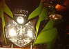 2012-06-10_20_57_01.jpg