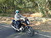 29012010684.jpg