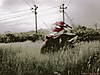 Copy_of_DS807518.jpg