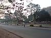 DSC00383.JPG