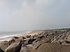 DSC00393.JPG