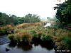 DSC00771.JPG