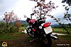 DSC03364.JPG