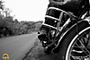 DSC03400.JPG