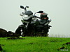DSC03415.JPG