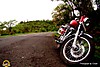 DSC03478.JPG