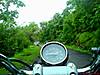 DSC03486.JPG