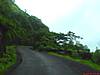 DSC03511.JPG