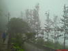 DSC03546.JPG