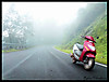 DSC04245_copy.jpg