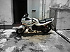 DSC04987.JPG
