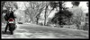 DSC06143_-_Copy_-_Copy.JPG