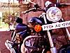 DSC06905.JPG