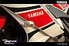 DSC08351_copy.jpg