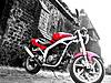 DSC08445.JPG