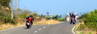 DSC09391.JPG