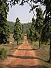 DSCN3237.JPG