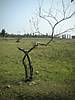 DSCN3238.JPG