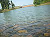 DSCN32441.JPG