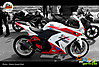DSCN3787_-_Copy_-_Copy_-_Copy_copy.jpg