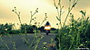 DSCN4548_-_Copy.JPG