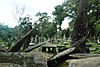 DSC_00811.JPG