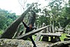 DSC_0085.JPG