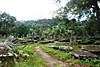 DSC_0105.JPG