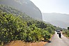 DSC_02701.JPG