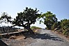 DSC_0498.JPG