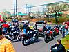 IMAG0553.jpg