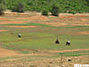 IMG_0786.jpg