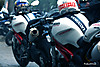 IMG_1888_copy.jpg