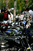 IMG_6610.jpg