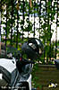 IMG_6631.jpg