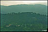MG_8590.jpg