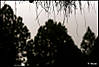 MG_8621.jpg