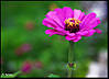 MG_8639.jpg