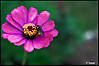 MG_8647.jpg