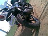 Snap545.jpg