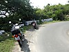 Yercaud1.jpg
