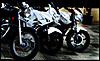 bikes_1.jpg