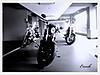 harleys_2_.jpg